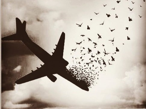 از حواشی دادگاه جانباختگان هواپیمای اوکراینی تا کابوسهای شبانهی خانوادهها / گفتگوی «انتخاب» با جمشید رحمانی فر، پدر یکی از قربانیان از حواشی دادگاه جانباختگان هواپیمای اوکراینی تا کابوسهای شبانهی خانوادهها / گفتگوی «انتخاب» با جمشید رحمانی فر، پدر یکی از قربانیان