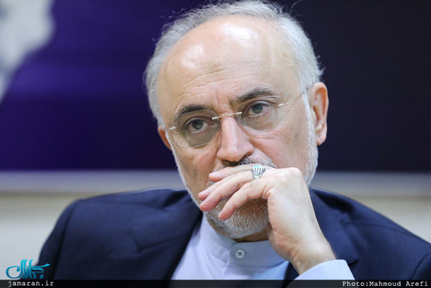 صالحی: اگر زمانی که رهبری موافقت کرد مذاکره دوجانبه با آمریکا را سریعا آغاز می‌کردیم و همراهی می کردند اصلا به برجام نمی‌رسیدیم