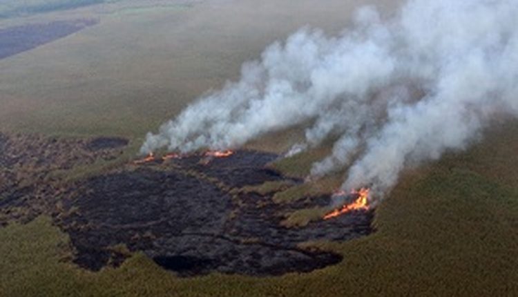 مانور آتش بیخ گوش «هورالعظیم» مانور آتش بیخ گوش «هورالعظیم»