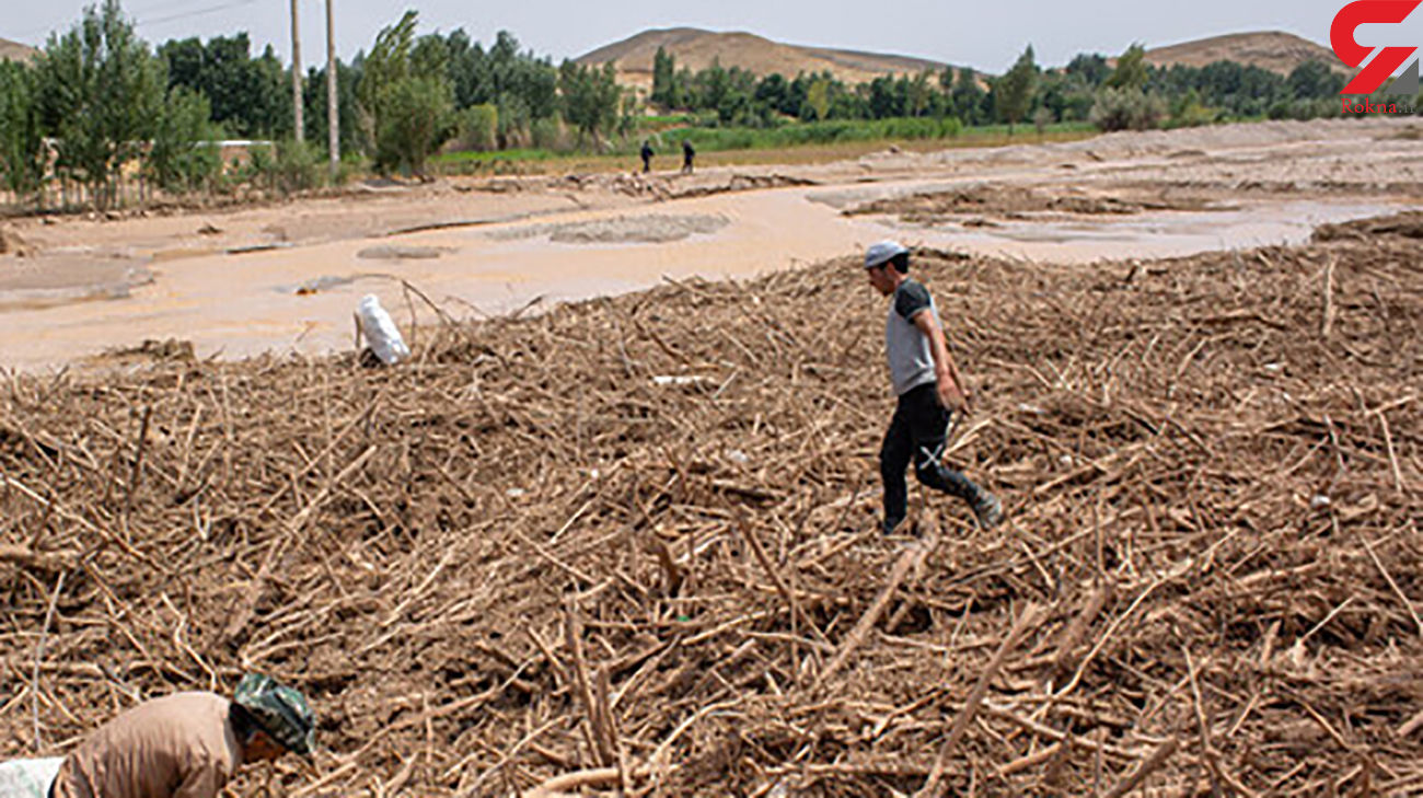 چوپان فداکار جان چند خانواده را از سیل مرگبار نجات داد چوپان فداکار جان چند خانواده را از سیل مرگبار نجات داد