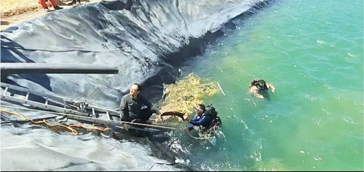 خراسان رضوی/ مرگ ۸ نفر برای نجات ۲ نفر از غرق شدن خراسان رضوی/ مرگ ۸ نفر برای نجات ۲ نفر از غرق شدن