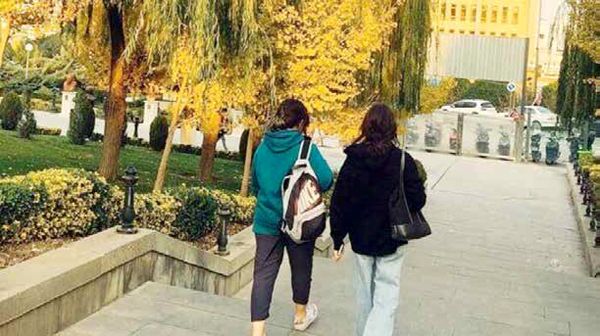 لایحه حجاب را کسی گردن نمیگیرد! لایحه حجاب را کسی گردن نمیگیرد!