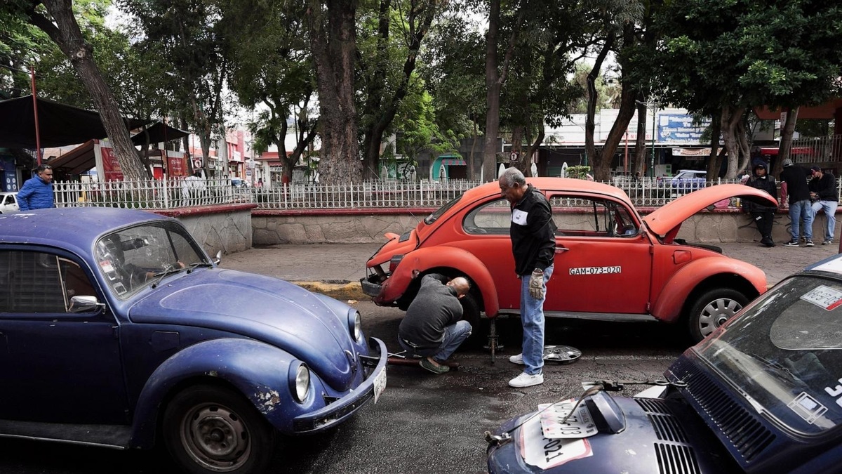 فولکسواگن قورباغهای اینجا پادشاه است!