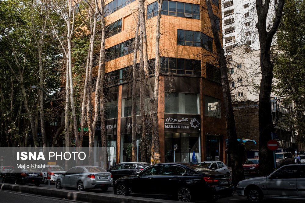 این چند درخت خیابان ولیعصر 167میلیارد قیمت داشت