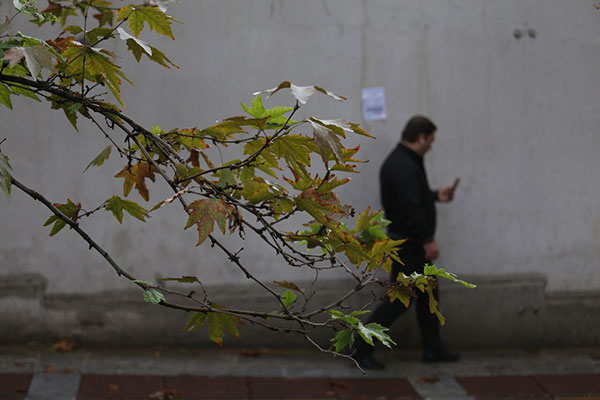 تصاویری از دلانگیزترین حالت تهران