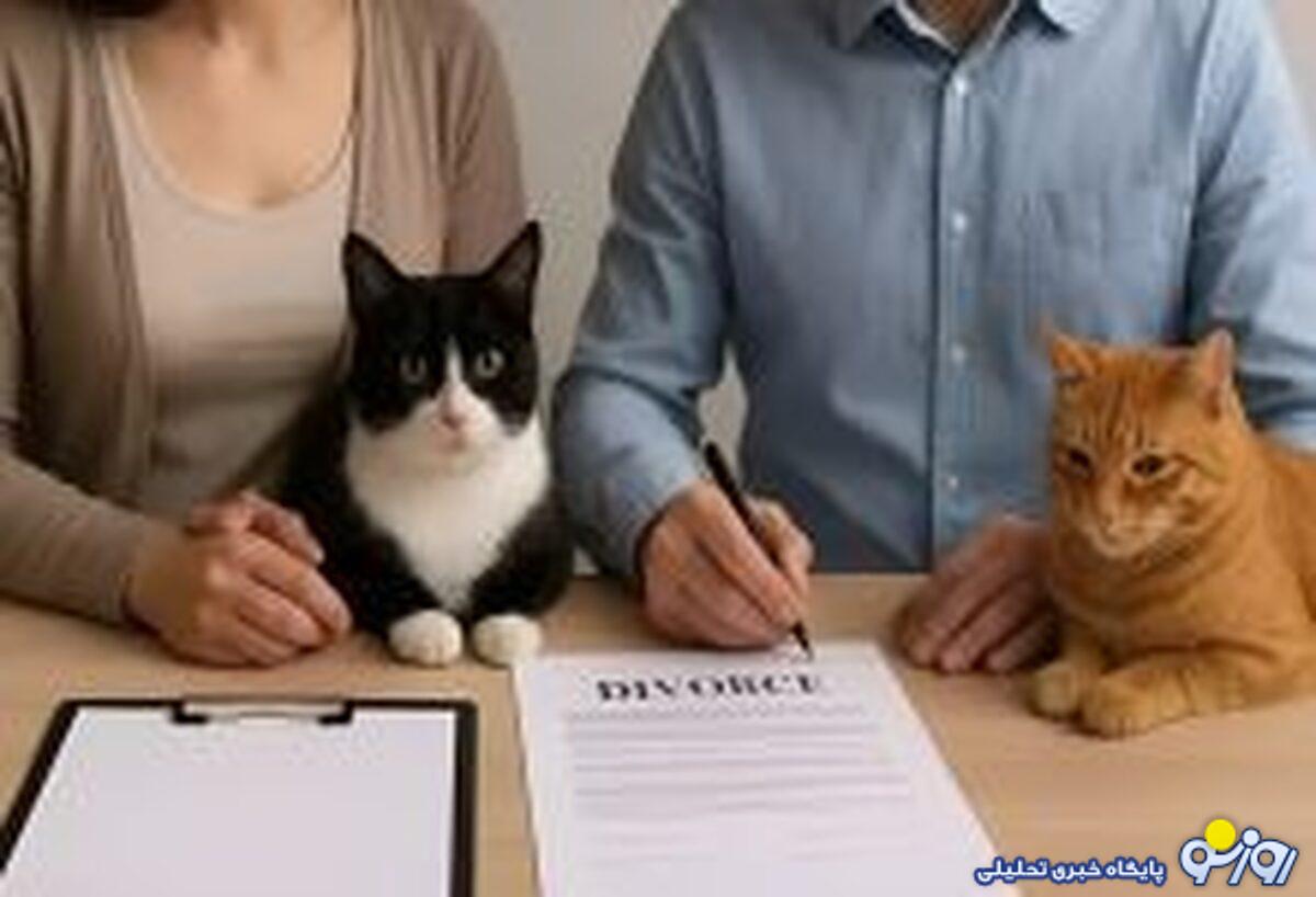 پرداخت نفقه گربه‌ها پس از طلاق!